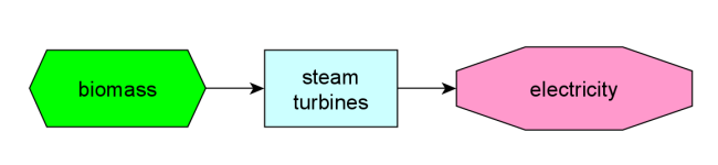 burning biomass